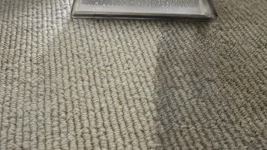 Hot water extraction band drawn across commercial carpet, cleaned pass beside untouched pile