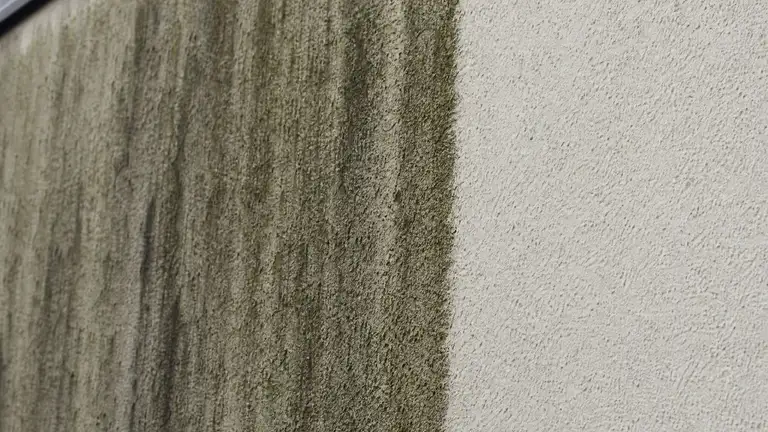 Stucco building wall with algae streaking beside a soft-washed clean section