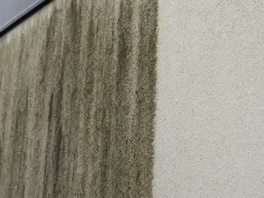 Stucco building wall with algae streaking beside a soft-washed clean section