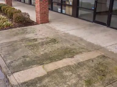Retail plaza walkway coated in algae and traffic grime, dirt packed into every control joint